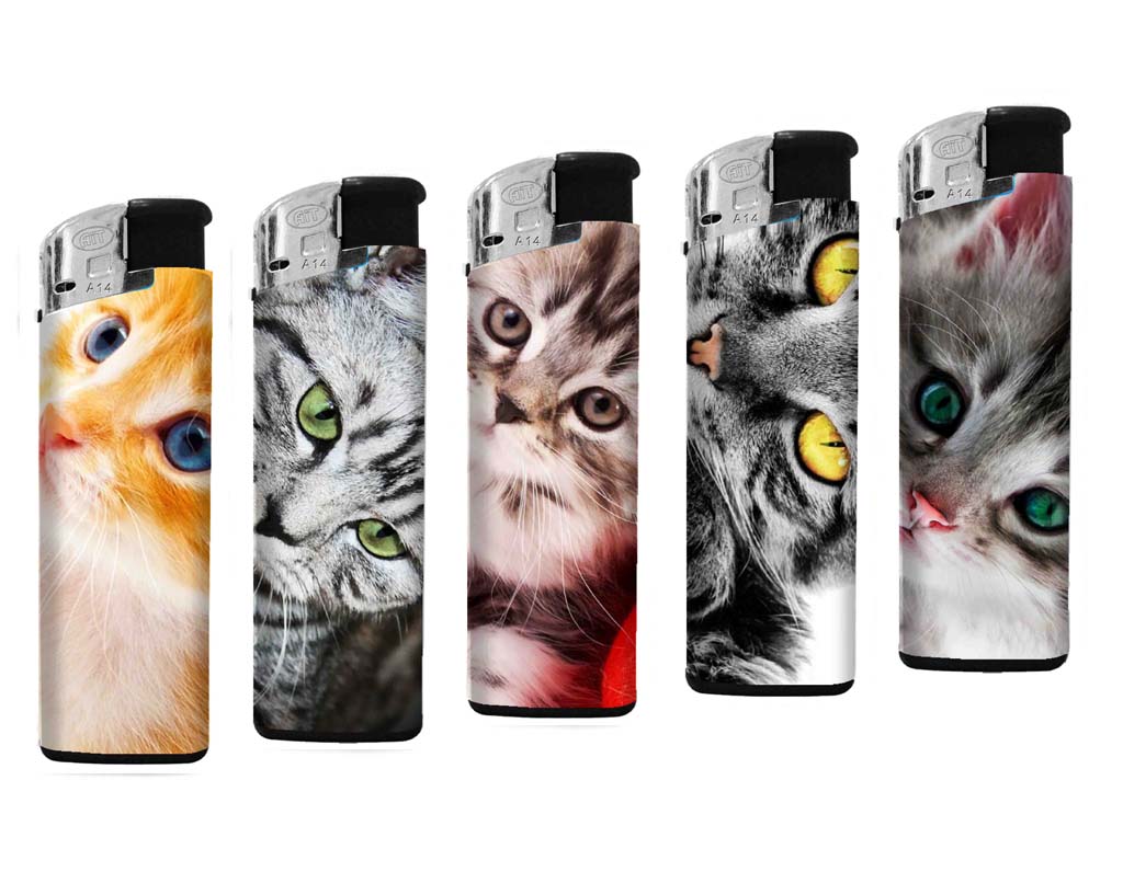 100.01 cat new
